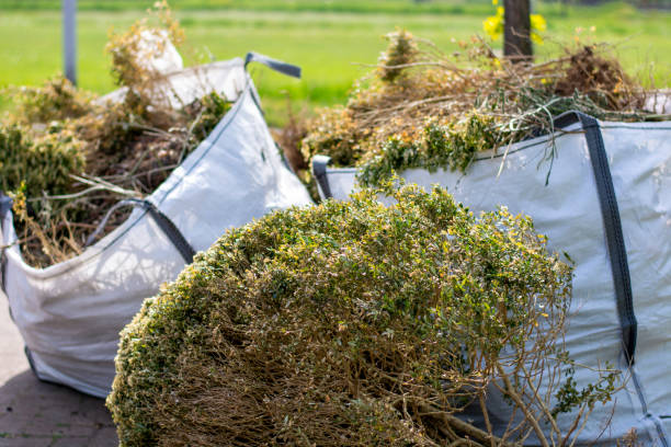 Shed Removal in Lodi, WI